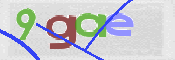 CAPTCHA 驗證圖片