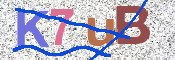 CAPTCHA 驗證圖片