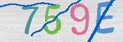 CAPTCHA 驗證圖片