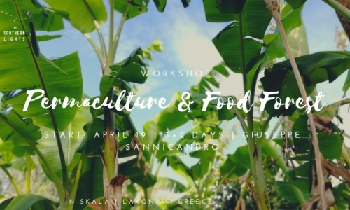 Permaculture & Food Forest (1)