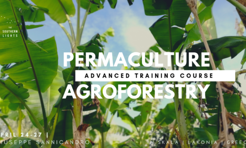 Permaculture & Food Forest ADVANCED